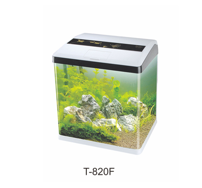 Mini Fashion Aquarium