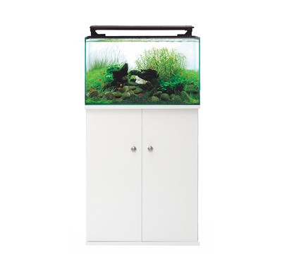 Aquarium