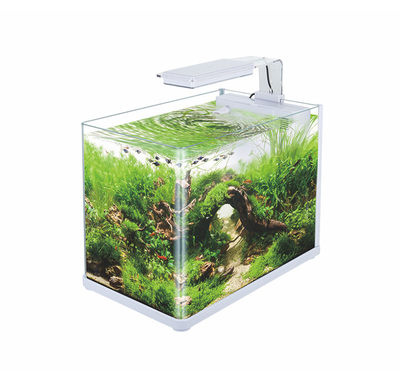 水族魚(yú)缸套裝