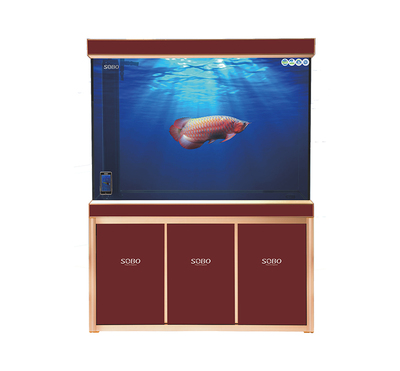 无边龙鱼缸-SHL系列底滤