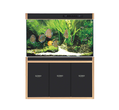 无边龙鱼缸-R系列底滤