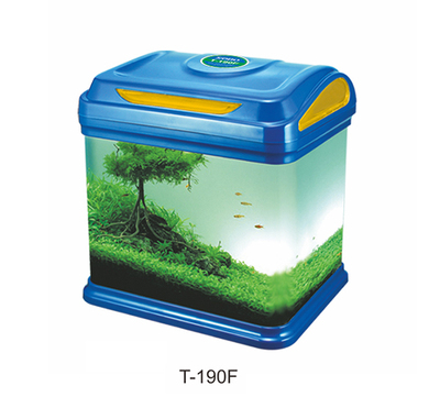 Mini Fashion Aquarium
