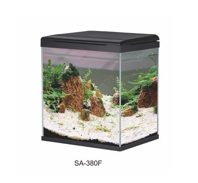 Mini Fashion Aquarium
