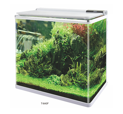 Mini Fashion Aquarium