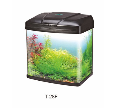 Mini Fashion Aquarium