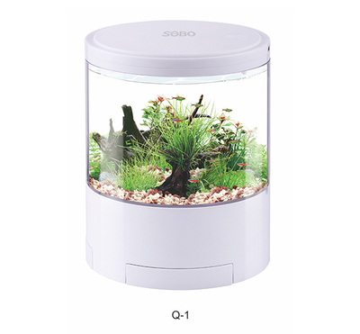 Mini Fashion Aquarium