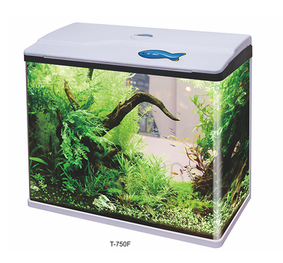 Mini Fashion Aquarium