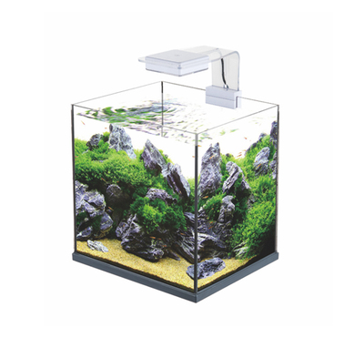 Aquarium Mini Clip Lamp