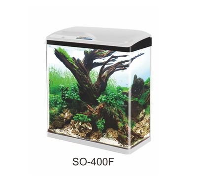 Mini Fashion Aquarium